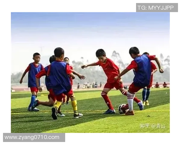 中国知名足球明星的成长历程与辉煌成就全面解析