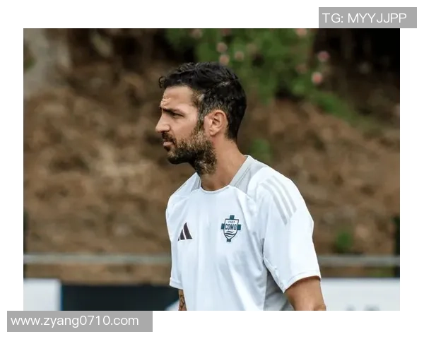 最帅足球明星转型做教练的魅力与挑战分析 最帅足球明星转型做教练的魅力与挑战分析